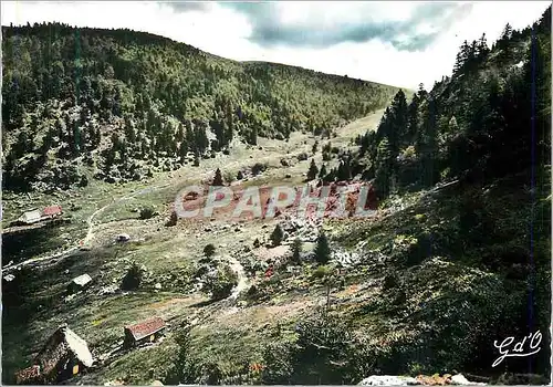 Moderne Karte L'Auvergne Les Monts du Forez Pierre sur Haute Vallee du Fossat