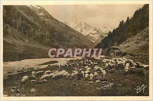 Cartes postales Les Pyrennes Rout des Eaux Chaudes aux bains de Panticosa (Espagne)Par Gabas et le Col du Pourta