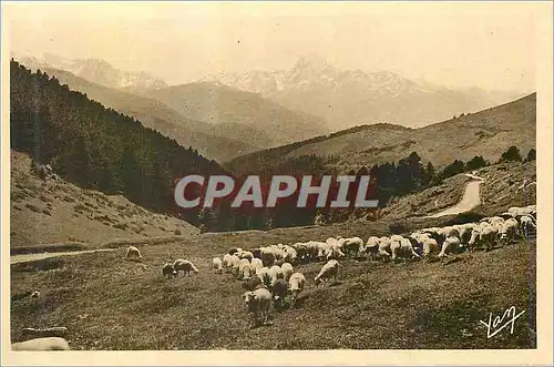 Cartes postales Les Pyrenees Au Col d'Aspin La route vers Payolle vue sur le Pic du Midi de Bigorre