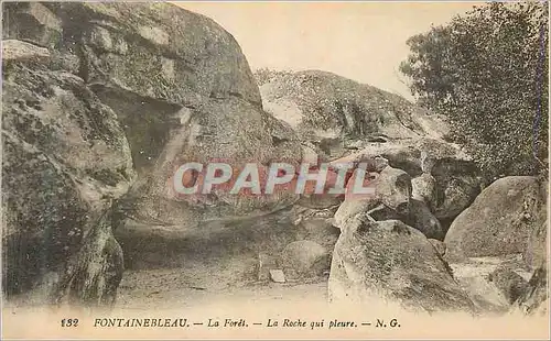 Cartes postales Fontainebleau La Foret La Roche que pleure