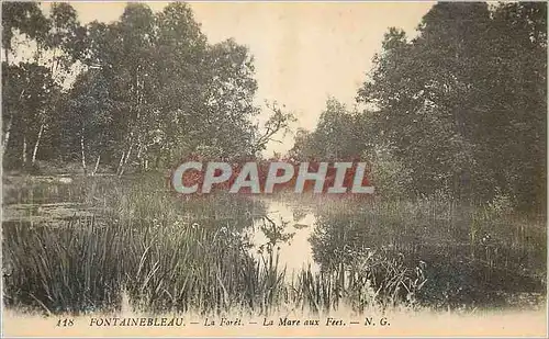 Cartes postales Fontainebleau La Foret la Mare aux Fees