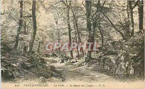 Ansichtskarte AK Fontainebleau La Foret la Gorge aux Loups