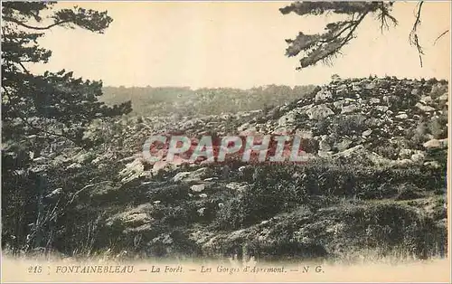 Cartes postales Fontainebleau La foret les Gorges d'Apremont