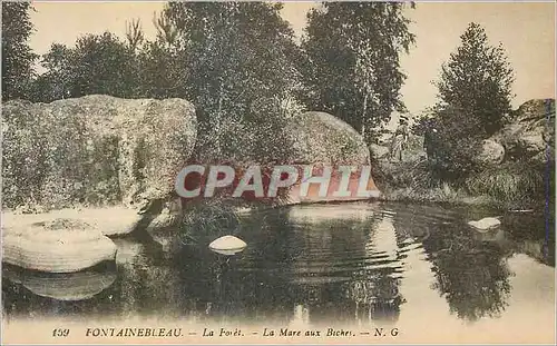 Ansichtskarte AK Fontainebleau La Foret La Mare aux Biches