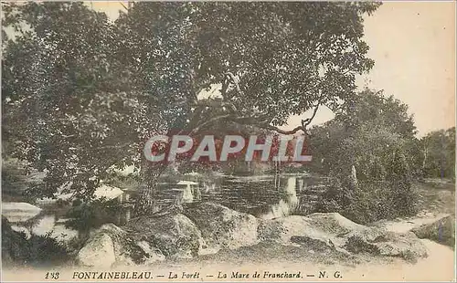 Cartes postales Fontainebleau La Foret La Mare de Franchard