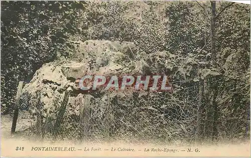 Cartes postales Fontainebleau La Foret le Calvaire La Roche Eponge