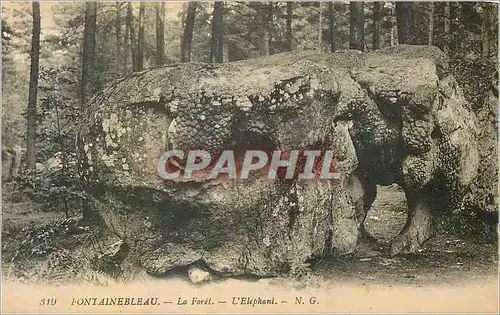 Ansichtskarte AK Fontainebleau La Foret L'Elephant