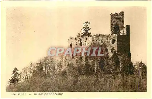 Cartes postales Barr Ruine Spesbourg