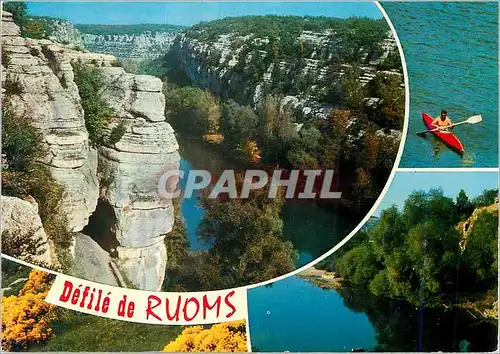 Cartes postales moderne Les Gorges de l Ardeche Le Defile de Ruoms Canoe