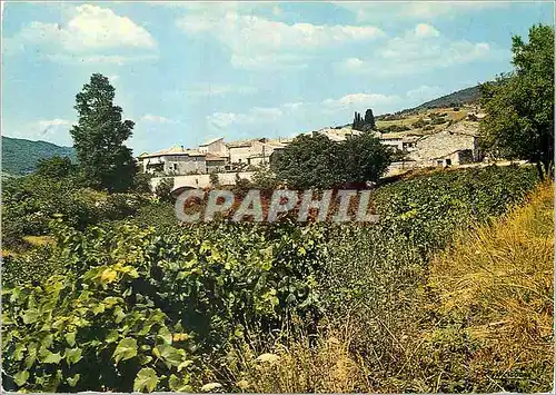 Cartes postales moderne L Ardeche Pittoresque Vallee de l Ibie