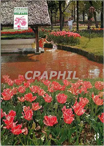 Cartes postales moderne Parc Floral Orleans la Source