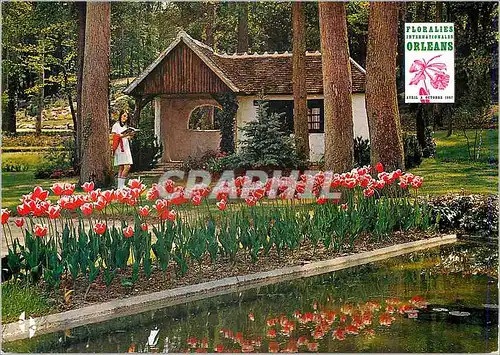 Cartes postales moderne Parc Floral Orleans la Source