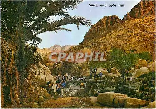 Cartes postales moderne Sinai An Arab name for a brook in the Sinai Mountains