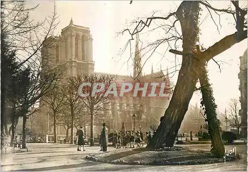 Moderne Karte Paris en Flanant Notre Dame vue du square Viviani Enfants Corde a sauter