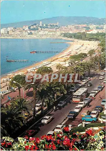 Cartes postales moderne Cannes La Croisette et le Suquet
