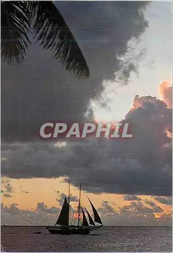 Moderne Karte Coucher de Soleil en Mediterranee