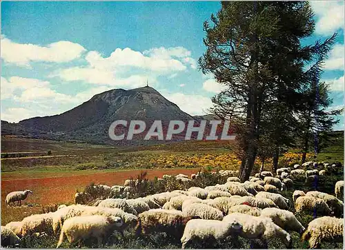 Cartes postales moderne Le Puy de Dome P de D Le plus ancient et le plus eleve de la Chaine des Puys ou Monts Domes