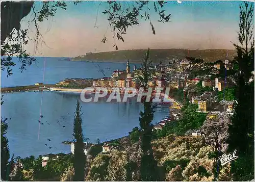 Cartes postales moderne Menton Vue generale prise des Colombieres