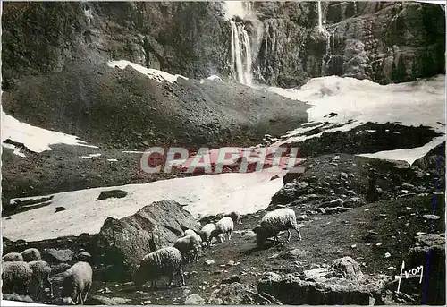 Cartes postales moderne Cirque du Gavarnie Htes Pyrenes Bas de la cascade et le pont de neige