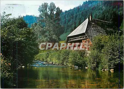 Cartes postales Schwarzwalder Bauernhaus