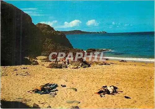 Cartes postales Saint Cast C du N La plage de la Pissotte au fond le Fort de la Latte