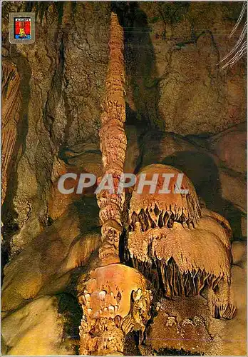 Cartes postales Alicante Busot Cuevas de Canalobre Palmier et medunee de mer