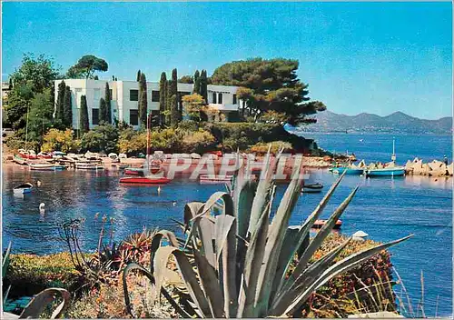 Moderne Karte Cote d Azur Cap d Antibes Juan les Pins Le Petit Port