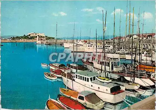 Moderne Karte Antibes AM Le Port et le Fort Carre Bateaux