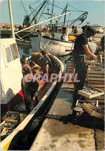 Moderne Karte Scene de peche en Mediterranee Bateaux de peche