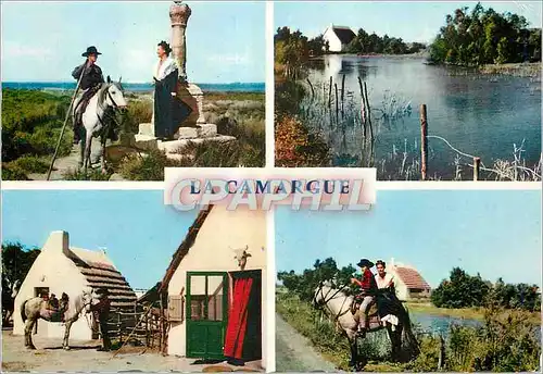 Moderne Karte En Camargue Avec les Gardians Chevaux Folklore