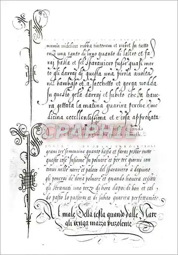 Cartes postales moderne Page from a manuscript written on vellum byy Francesco Moro Victoria and Albert Museum
