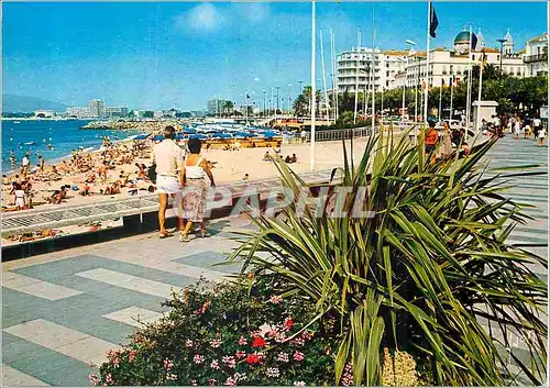 Cartes postales moderne Saint Raphael Var Les Plages et l Eglise Au fond frejus plage