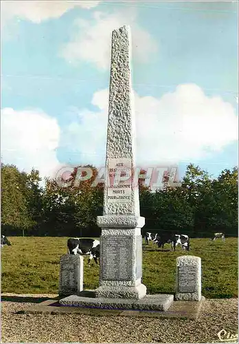 Cartes postales moderne Moreac Morbihan Le Monument Vaches