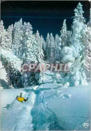 Cartes postales moderne Images de nos montagnes en hiver Feerie neigeuse sur la foret