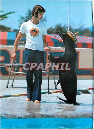 Moderne Karte Marineland Costa Brava Prov Barcelona Otarie