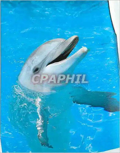 Moderne Karte Marineland Costa Brava Prov Barcelona Dauphin