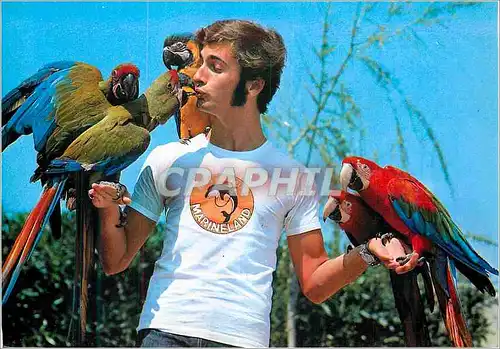Cartes postales moderne Marineland Costa Brava Prov Barcelona Perroquets