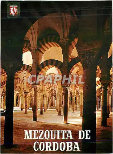 Moderne Karte Cordoba La Mezquita Labyrinthe de colonnes