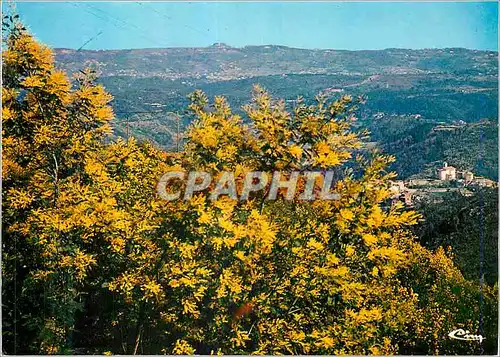 Cartes postales moderne Auribeau Alpes Mar Vue generale