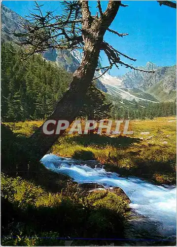 Cartes postales moderne Val d Arpettaz sur Champex et Col des Ecandies