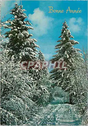 Cartes postales moderne Bonne Annee