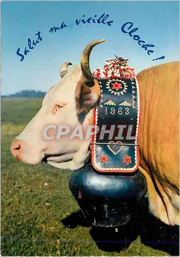 Cartes postales moderne Alpes de Suisse Reine de troupeau Vache