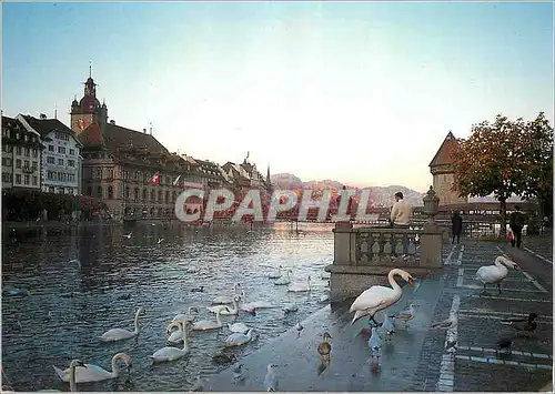 Cartes postales moderne Luzern Blick auf Rathaus und Kapellbrucke