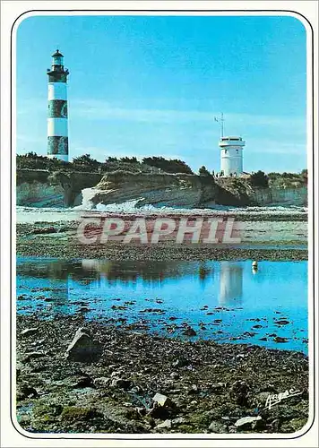 Cartes postales moderne Sur la Cote de Lumiere Ile d Oleron