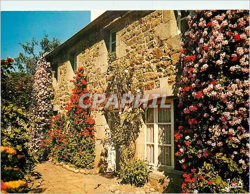 Cartes postales moderne Couleurs de Bretagne Maison fleurie
