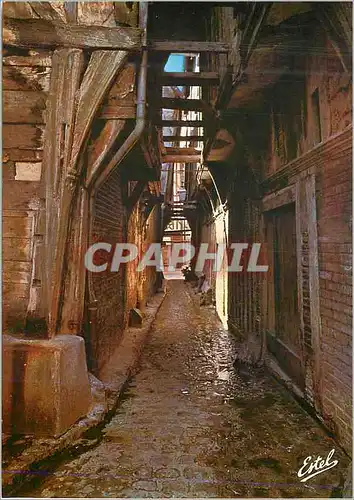 Cartes postales moderne Troyes Aube Capitale de la Champagne La pittoresque rue aux Chats