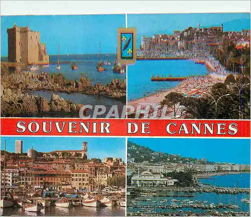 Cartes postales moderne Souvenir de Cannes