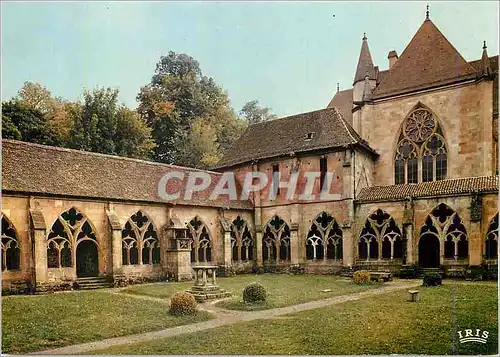 Cartes postales moderne Saint Die Vosges Le Cloitre