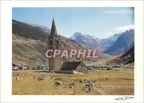 Cartes postales moderne Troupeau en Queyras Ceillac