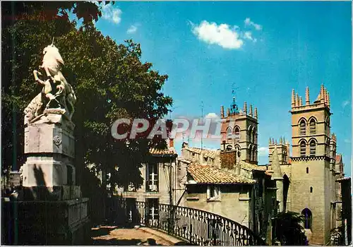 Cartes postales moderne Montpellier Herault La fontaine des Licornes et les tours de la cathedrale Saint Pierre
